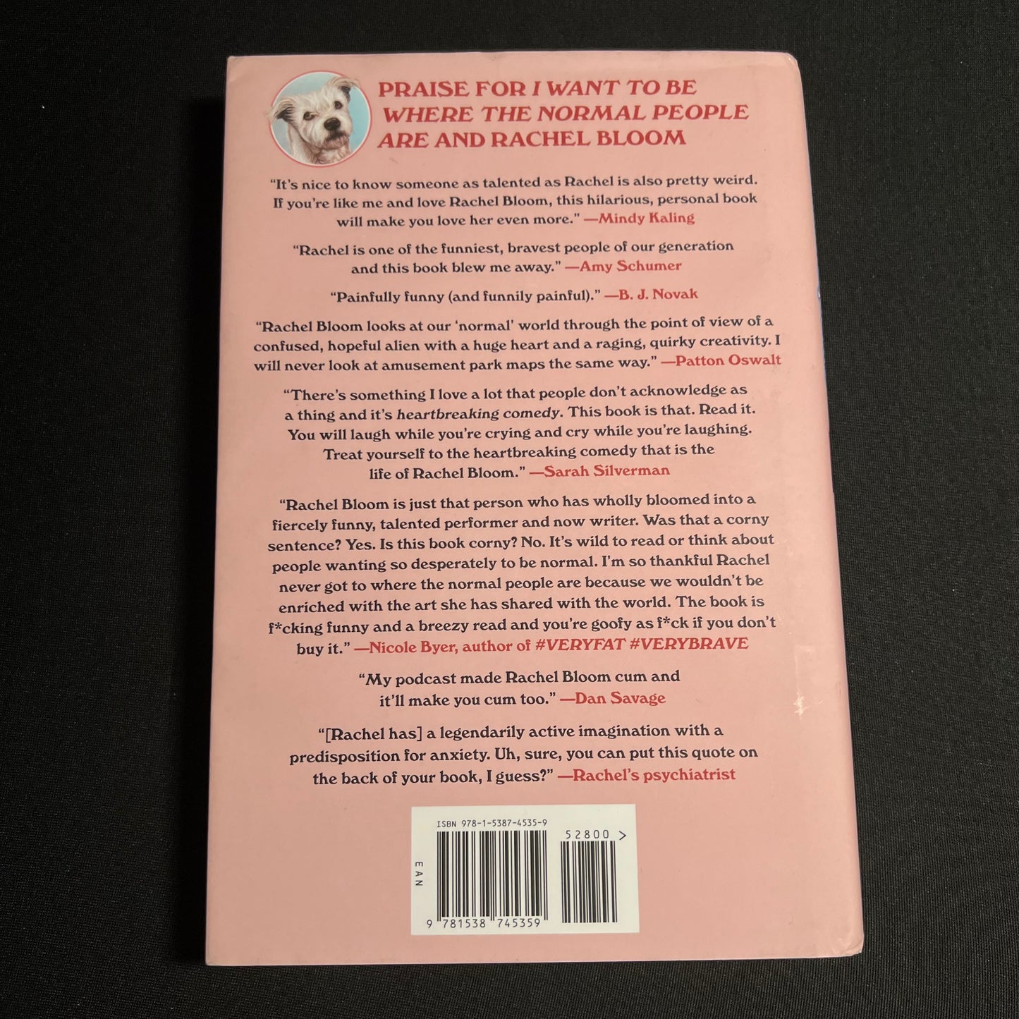 I Want to Be Where the Normal People Are By Rachel Bloom