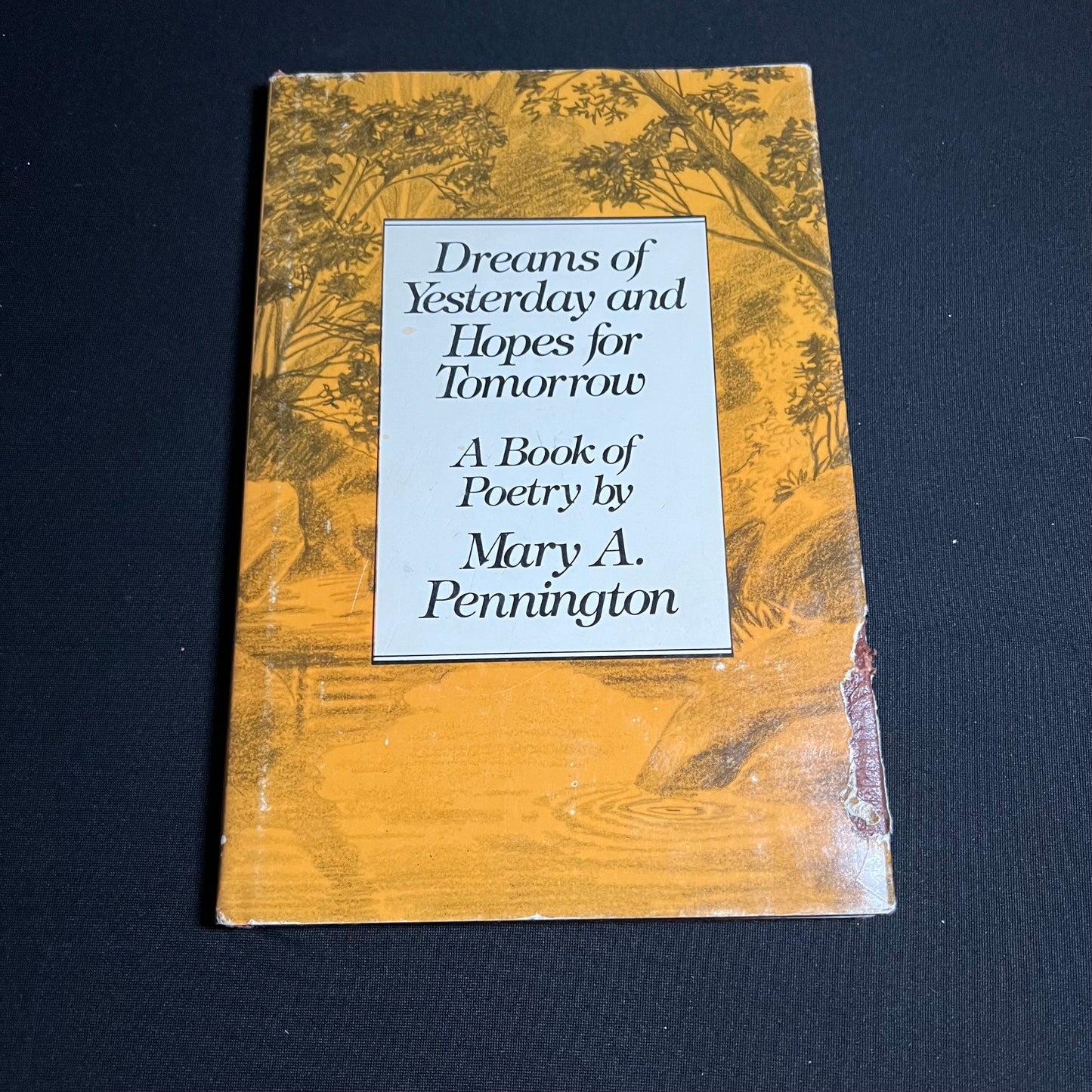 Dreams of yesterday and hopes for tomorrow by Mary A. Pennington *Signed*